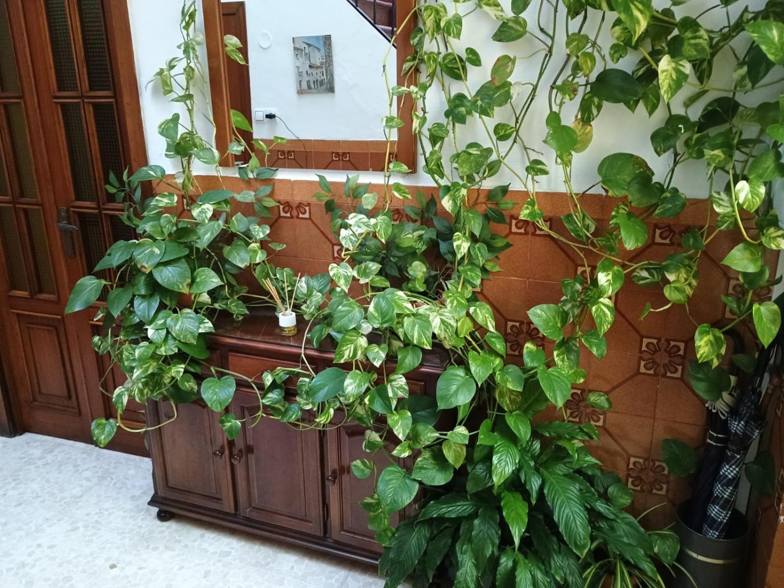 Casa Matbel Apartment Кордоба Екстериор снимка